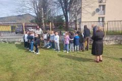IMG-614fc7cbf32d25941f0a2d6ce0158cf7-V