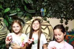 IMG-3d250aea1befd3aa7619f02f898c5ea2-V