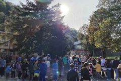 IMG_20241008_093524