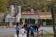 IMG-77315876fdd16a83105c6a3e26cf11c3-V