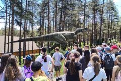 IMG_20240606_121622