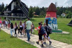 IMG-db697b9a880728c07dc7afdf7623a2ff-V