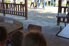 IMG-d38fd7b72bf42573c1fc1aee01517384-V
