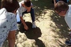 IMG-e95d2c8ca3695c4c4154c47f24ec2a80-V